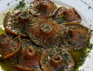 Rovellons. Directos al plato Del bosque a la mesa. Sin más.
